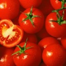 291710-pingpongtomaat-ribesoides-ribesiodes
