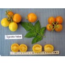 291806-pingpongtomaat-tigerette-yellow-tigerette-cherry
