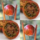 291825-pingpongtomaat-violet-jasper