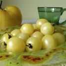 291845-kerstomaat-white-cherry-bianca-cherry