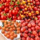 291905-kers-grapetomaatjes-you-jane