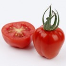 291145-aardbeitomaatje-appleberry-red