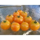 293124-middenmaat-tomaat-amber-amber-coloured
