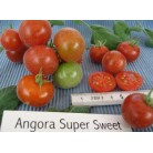 293126-pingpongtomaat-angora-super-sweet-filzige-wildtomate