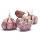 306272-spiraalknoflook-morado-pedronera-spaanse-rose-lautrec