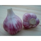 306290-spiraalknoflook-oosterdel