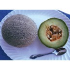 202210-cantaloupmeloen-green-nutmeg
