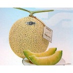 202600-hybride-netmeloentje-sweetheart-f1-galia-f1