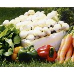 415100-grote-sets-helderwitte-champignons