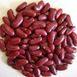 045350-droogbonen-stam-red-kidney-canadian-wonder