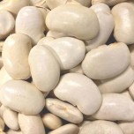 045380-droogbonen-stok-spaanse-witte-spagna-bianco