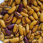 045383-droogbonen-stok-tiger-eye