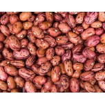 045386-droogbonen-stam-vermont-cranberry