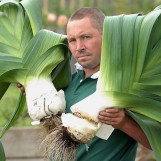 222310-prei-mammoth-pot-leek