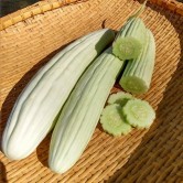 131500-meloenkomkommer-tortarello-abruzzese-light-green-armenian-yard-long