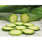 131700-meloenkomkommer-tortarello-barese-dark-green