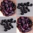 049850-tuinbonen-black-russian