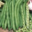 050255-tuinbonen-aguadulce-supersimonia