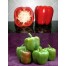 205970-paprika-north-star-f1