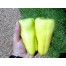 206100-paprika-super-sweet-banana-f1-gypsy-banana-f1-banana-bounty-f1