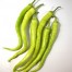 206290-paprika-yalova-corbaci
