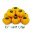 206490-tomaatpaprika-brilliant-star-f1