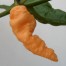 207922-peper-bhut-jolokia-peach
