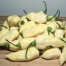208188-peper-fatalii-white