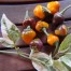 208197-peper-golden-nugget