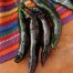 208210-peper-holy-mole-f1-grif-9148