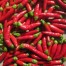 208212-peper-hot-demon