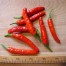 208905-peper-naga-jolokia-indian-pc1