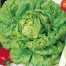 252950-kropsla-zwart-duits-hjerter-es-furchtenichts-all-the-year-round-passe-partout
