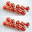 291442-kerstomaat-ladybird-lady-bird