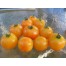 293124-middenmaat-tomaat-amber-amber-coloured