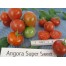 293126-pingpongtomaat-angora-super-sweet-filzige-wildtomate