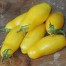 293151-middenmaat-tomaat-banana-legs