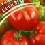 293183-middenmaat-tomaat-boney