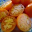 293194-middenmaat-tomaat-coastal-pride-orange