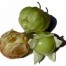 296900-tomatillo-tepehuan