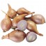 308354-franse-jersey-sjalotten-melkior