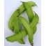 311010-vleugelboon-climbing-thuong-hai