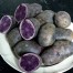408830-aardappels-blauwe-wilman