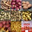 409052-aardappels-british-tasty-potatoes-collection-albert-bartlett-premium-brands
