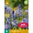 736960-scilla-litardierei