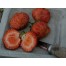 830440-tomatenaardbei-olifantenaardbei-madame-moutot-madame-kooi