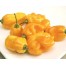 832488-peper-heet-vol-aroma-madame-jeanette
