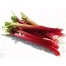 832750-rabarber-red-champagne-champagne-early-hawke-champagne