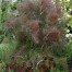 833975-venkel-bronzen-smokey