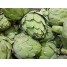 013000-artisjok-green-globe-groene-van-laon